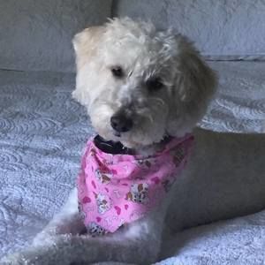 Meet your Posher, Kerry